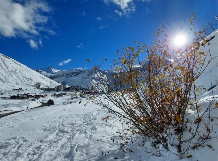 Appartement-Tignes-Lavachet-REF1597535